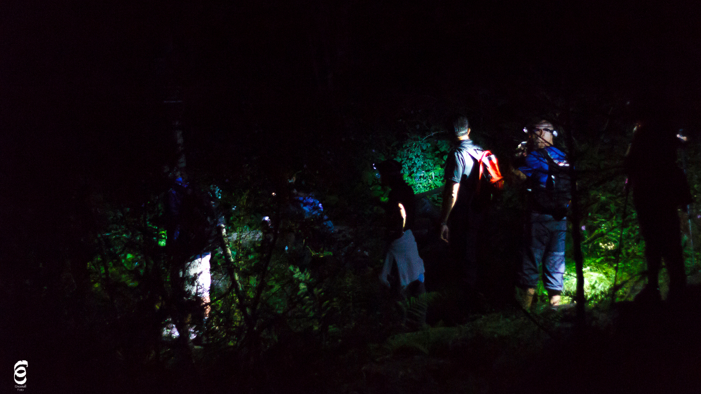 24082016-_MG_0137_1000