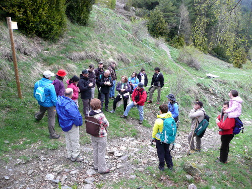 Sispony_26-abril-2015_2