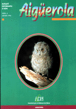 foto_revista_aiguerola4_peq